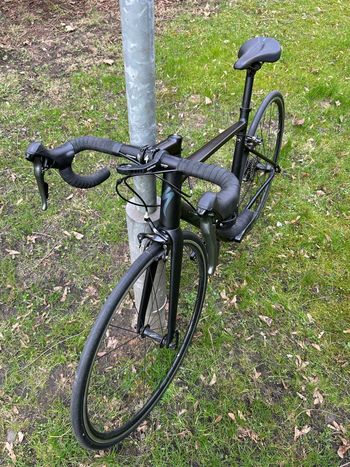 Brugt Spécialized Allez Custom Shimano Claris 2020 Road & Gravel — billede 2 af 6