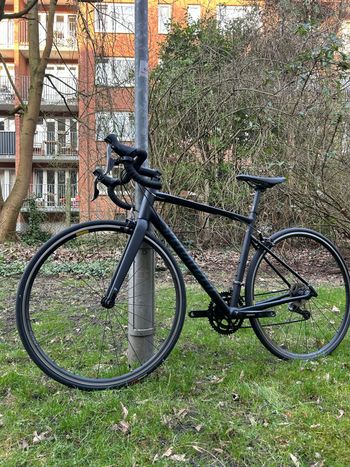Used Spécialized Allez Custom Shimano Claris 2020 Road & Gravel