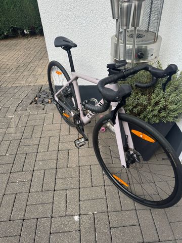 Gebrauchtes Canyon Endurace CF 7 LTD 2026 2026 Road & Gravel, Hellgrau — Bild 1 von 3