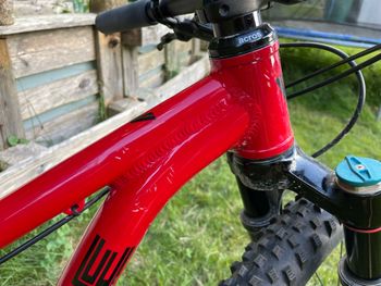 VPACE Custom SRAM X01 2020 Mountainbike d'occasion — image 7 sur 12