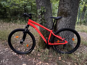 ROCKRIDER EXPL 50 Rockrider, Size M, 2025 2025 MTB d'occasion