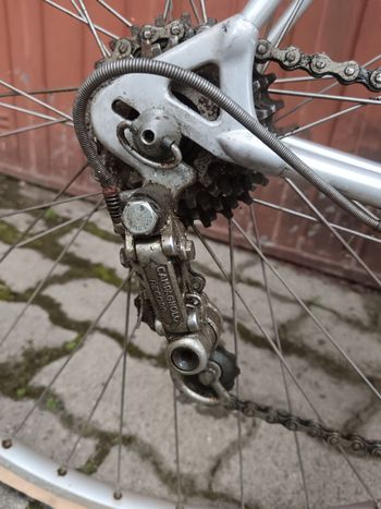 Used Alan Custom Campagnolo Record 1985 Road & Gravel, Light Gray — image 8 of 11