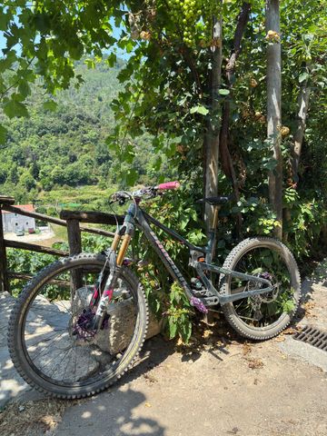 Gebrauchtes Propain Tyee Cf 6.1 2026 Mountainbike, Grün — Bild 8 von 8