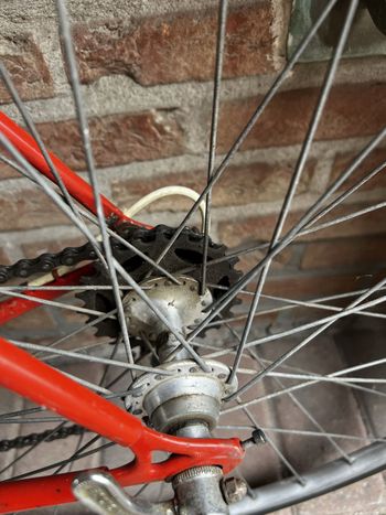 Brugt Colnago Super - DiPaolo 1980 Road & Gravel — billede 19 af 21