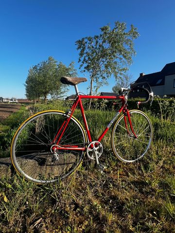 Używany Colnago Super - DiPaolo 1980 Road & Gravel — zdjęcie 4 z 21