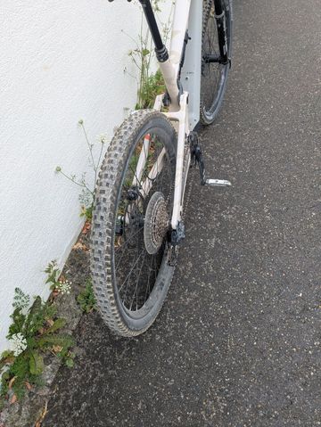 Used Canyon Neuron:ON CF 9 2024 2024 Mountainbike, Green, 29 — image 3 of 4