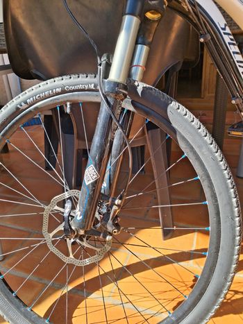 Used Specialized Myka Shimano Dura Ace 2014 Mountainbike, White — image 5 of 5