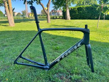Trek Émonda SL 6 2024 Frameset 2024 Road & Gravel usato