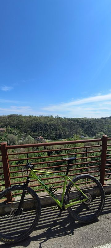 Cannondale F Si Carbon 2 2019 2019 Mountainbike usato, Verde — immagine 3 di 6
