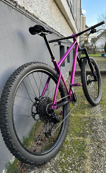 Gebrauchtes Last Fastforward Custom Hardtail MTB Kickstarter Edition 2015 2015 MTB