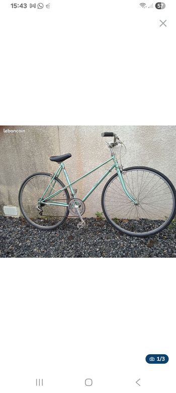 Used Raleigh Classic 1980 1980 Road & Gravel