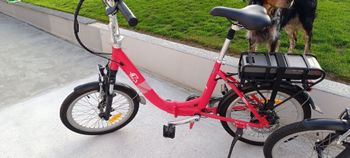 Gebrauchtes Eza Custom 2021 Urban & Touring