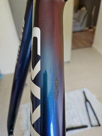 Used Specialized Tarmac Frameset 2024 Road & Gravel, Blue — image 4 of 4