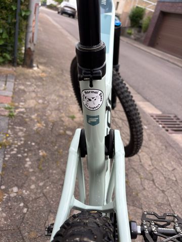 Used Focus JAM 6.9 2022 2022 Mountainbike, Green, 29 — image 14 of 15