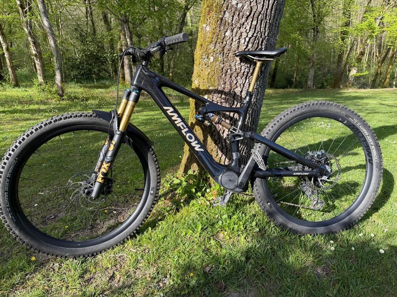 Used Amflow Custom SRAM X01 2025 MTB