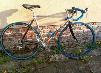 Used Alan Aluminio Carbonio Epoca 1995 Road & Gravel