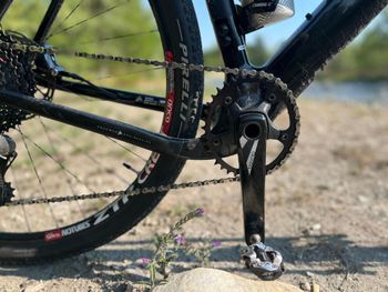 Used 3T Exploro SRAM Force 2021 Road & Gravel, Black — image 5 of 13