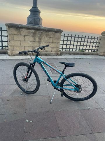 Used Bottecchia Custom Shimano Dura Ace 2024 Mountainbike, Green — image 2 of 3
