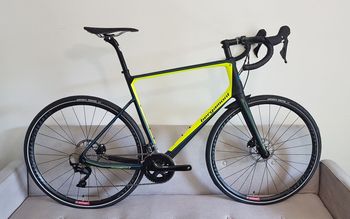 Used BERGAMONT Prime CX Team Disc Carbon 61 Cm - XXL Gravel Cyclo-cross 2017 Road & Gravel