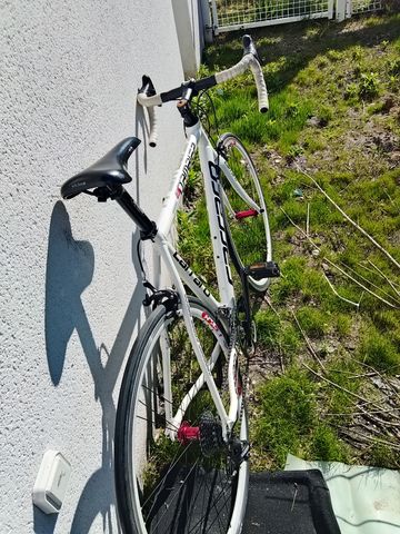 Used Carraro D'ambiez 14781 2016 Road & Gravel, White — image 2 of 4