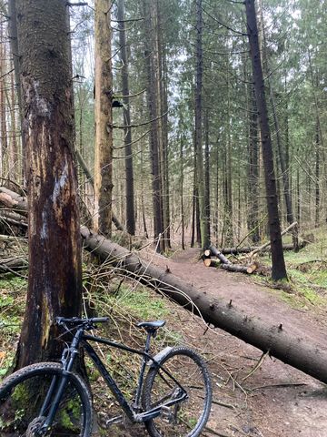 Brugt Orbea ONNA 50 2024 2024 MTB