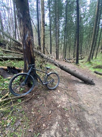 Używany Orbea ONNA 50 2024 2024 Mountainbike — zdjęcie 2 z 3