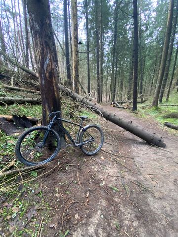 Used Orbea ONNA 50 2024 2024 Mountainbike, Black, 27.5, 29 — image 2 of 3