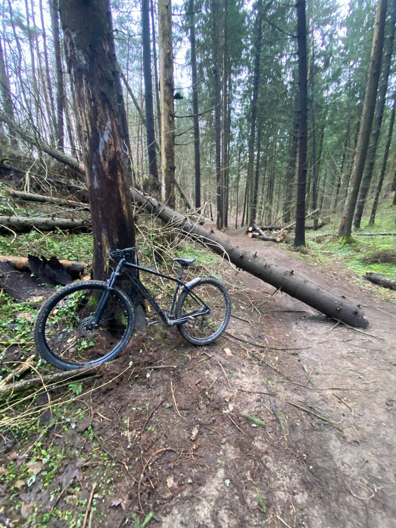 Używany Orbea ONNA 50 2024 2024 Mountainbike — zdjęcie 2 z 3