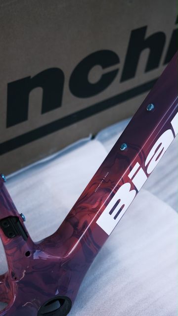 Used Bianchi Impulso Frameset 2026 Road & Gravel, Purple — image 5 of 15