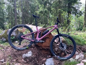 YT Industries Izzo CORE 1 29 2023 2023 MTB usato