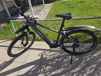 Used Haibike AllTrack 5 29 2023 2023 MTB