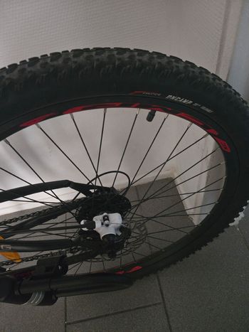 Used Licorne Custom Shimano Tourney 2025 Mountainbike, Black — image 7 of 8