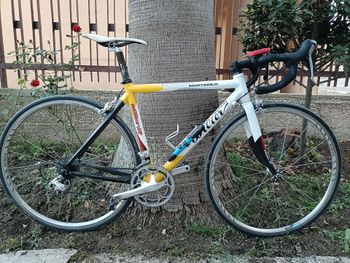 Wilier Mortirolo Shimano Ultegra 2006 Road & Gravel de segunda mano, Blanco — imagen 4 de 4