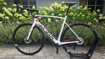 Tweedehands Koga Kimera Premium 2023 2023 Road & Gravel — afbeelding 1 van 17