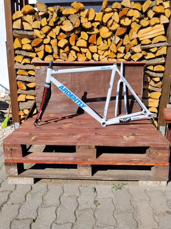 Ardently Custom Frameset 2025 Road & Gravel usato, Bianco — immagine 2 di 7