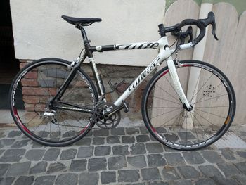 Used Wilier Mortirolo Campagnolo Athena 2010 Road & Gravel