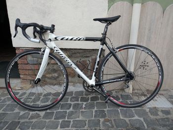 Wilier Mortirolo Campagnolo Athena 2010 Road & Gravel d'occasion — image 2 sur 6