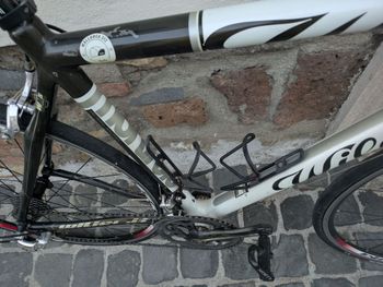 Wilier Mortirolo Campagnolo Athena 2010 Road & Gravel d'occasion — image 6 sur 6
