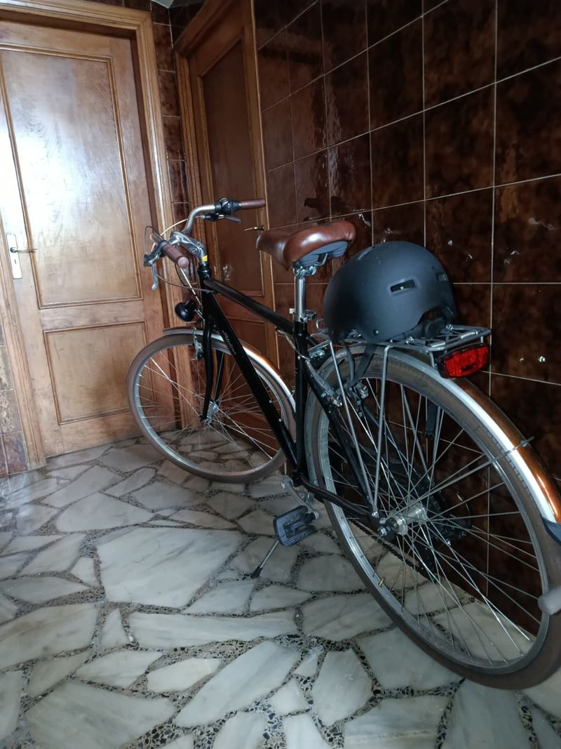 Used alpina Roxy Man 28'' 6V 2024 Urban & Touring
