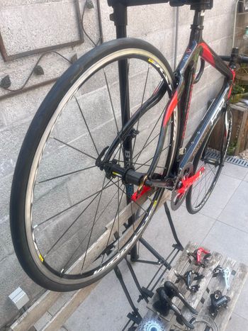 Pinerallo Custom Campagnolo Veloce 2012 Road & Gravel usato, Rosso — immagine 10 di 11