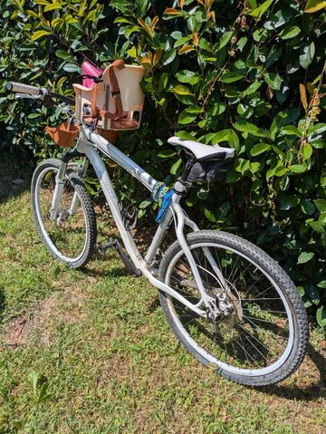 Specialized Rockhopper SL 2010 2010 MTB usato