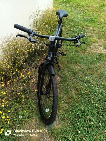 Used birdbike A-Frame 2025 Mountainbike, Black — image 4 of 6