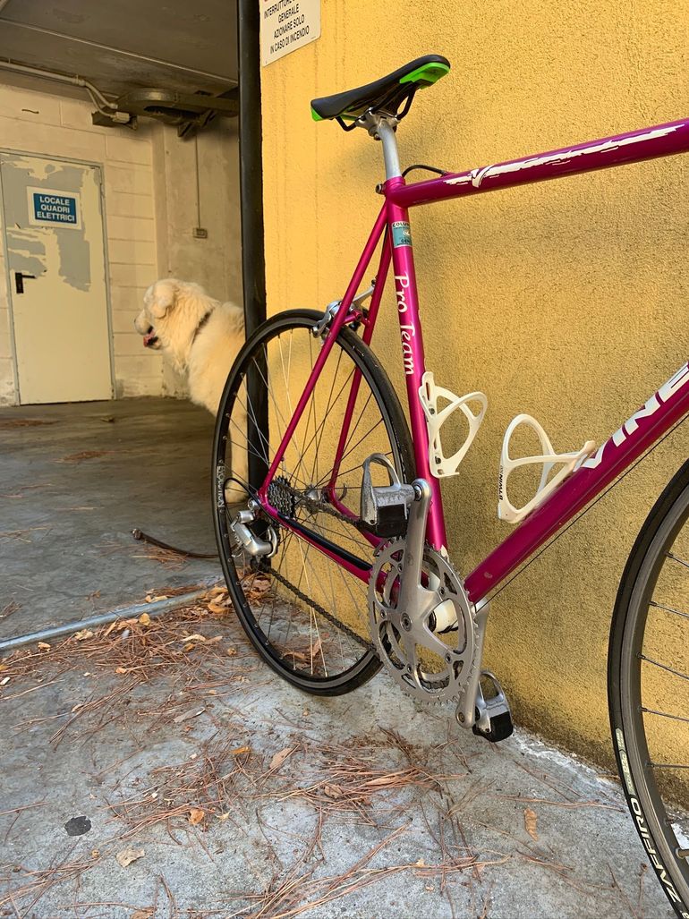 Viner Pro Team - 1997 1997 Road & Gravel d'occasion — image 12 sur 13