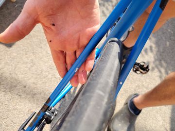 Used Canyon Endurace 7 2022 2022 Road & Gravel, Blue — image 10 of 15