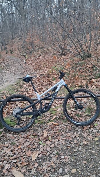 Brugt Canyon Spectral 125 AL 6 2024 2024 MTB