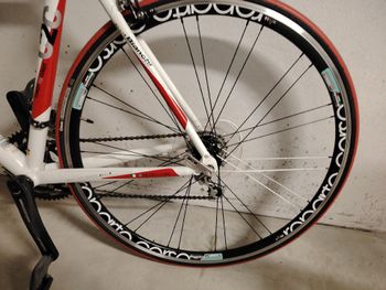 Gebrauchtes Bianchi Nirone Campagnolo Veloce 2015 Road & Gravel, Weiß — Bild 5 von 9