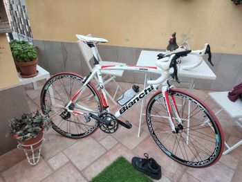 Gebrauchtes Bianchi Nirone Campagnolo Veloce 2015 Road & Gravel, Weiß — Bild 2 von 9
