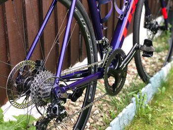 Brugt Trek Domane Other Campagnolo 2023 Road & Gravel — billede 3 af 3