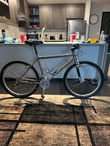 Used Diamondback Custom Shimano XTR 1996 Mountainbike, Light Gray — image 2 of 8