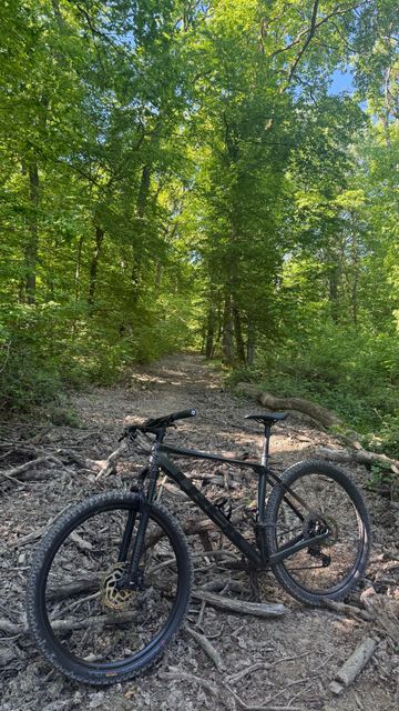 Trek Procaliber 9.5 2021 2021 Mountainbike d'occasion — image 2 sur 11